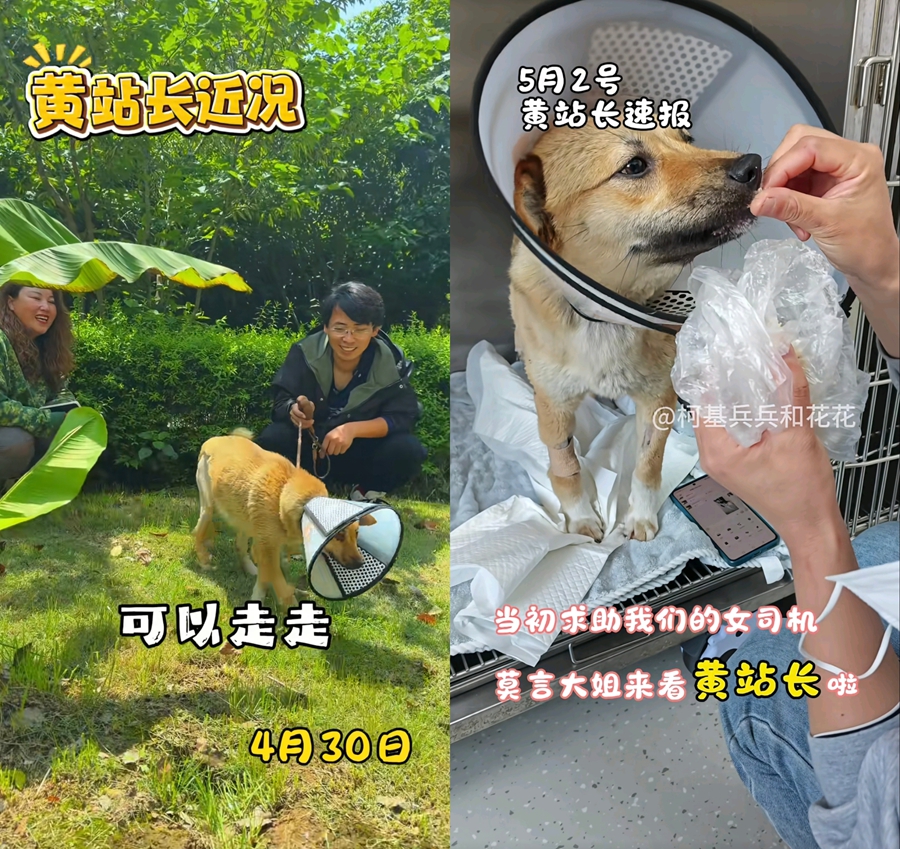 JPNaLlnAZNhAdndn.jpg